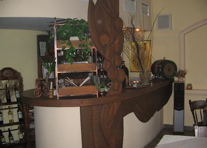 Ξενοδοχείο Boryana Μπουργκάς